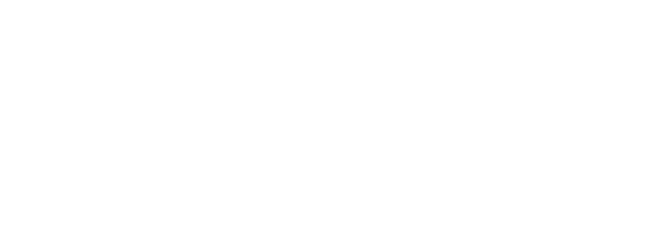 Logo de l'entreprise Solution Parasites en police blanche